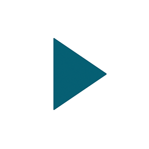 Video abspielen
